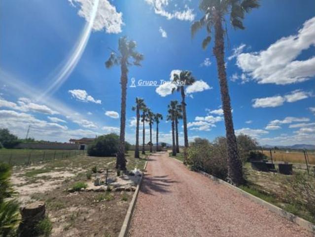 Chalet Venta Dolores, Dolores