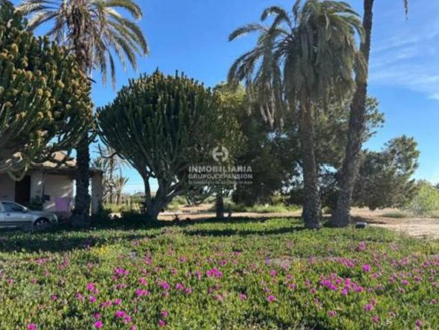 Chalet Venta Elx Elche, Centro
