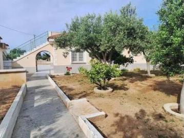 Baix Vinalopó, Algemesí, Valencia, Comunidad Valenciana, Comunidad Valenciana