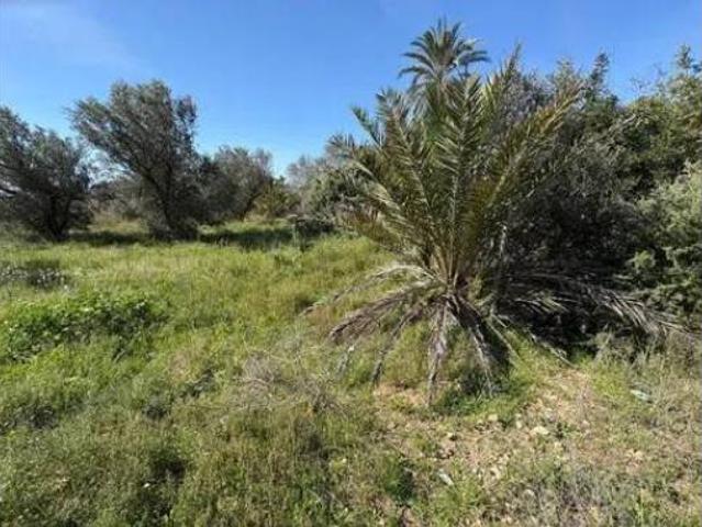 Chalet Venta Elx Elche, L'Altet Els Bassars