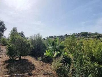 Chalet Venta Estepona, Selwo