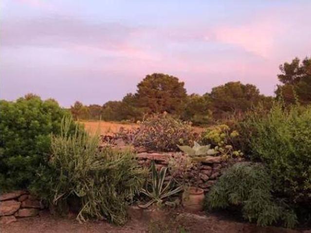 Chalet Venta Formentera, Es Cap de Barbaria