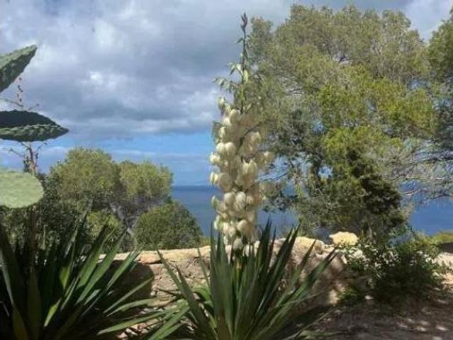 Chalet Venta Formentera, Sant Francesc de Formentera