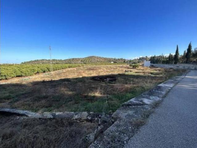 Chalet Venta Oliva, Oliva