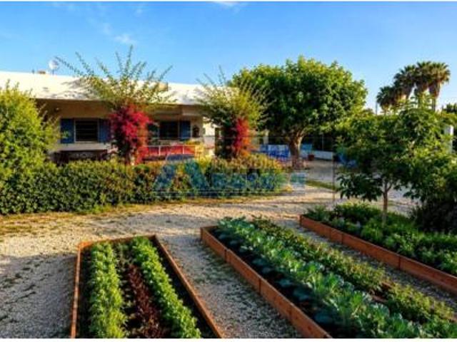 Chalet Venta Oliva, Nucli Urbà