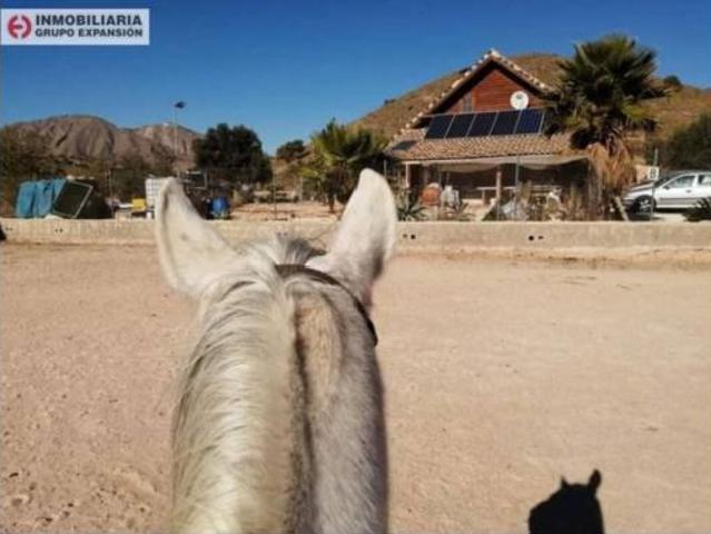 Chalet Venta Orihuela, Orihuela
