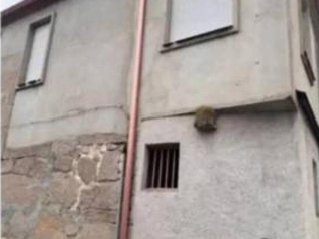 Chalet Venta Ourense Capital, Vilar de Astrés Palmés Arrabaldo