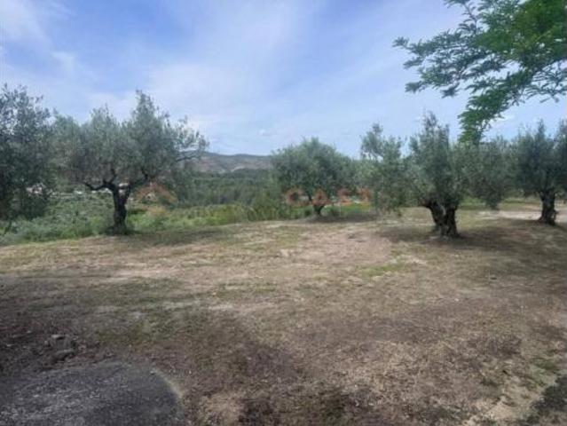 Chalet Venta L'Olleria, L'Olleria