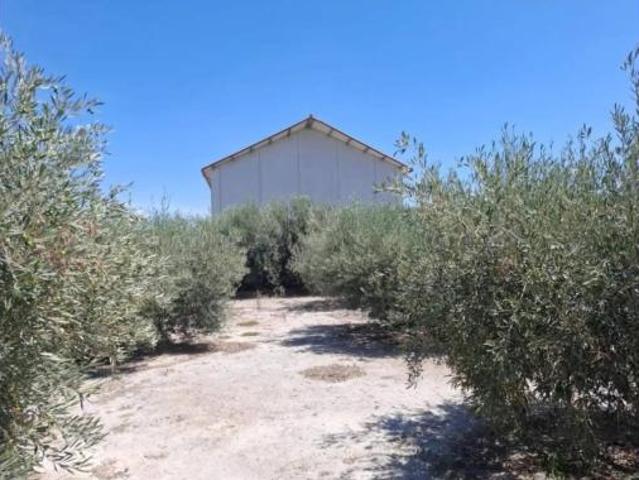 Chalet Venta Lorca, La Viña San José