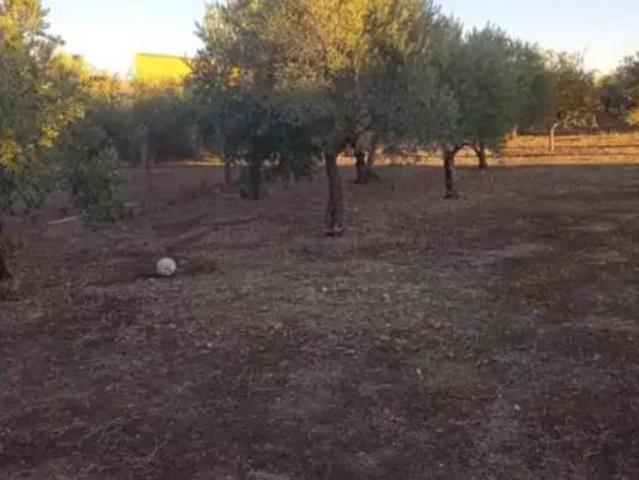 Chalet Venta La Carlota, La Carlota