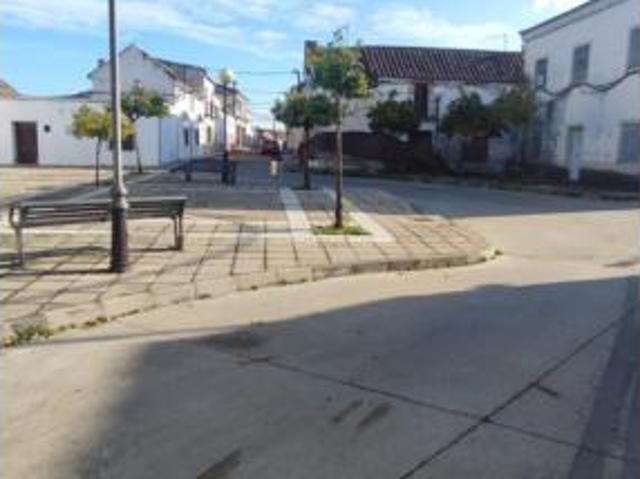 Chalet Venta La Carlota, La Chica Carlota