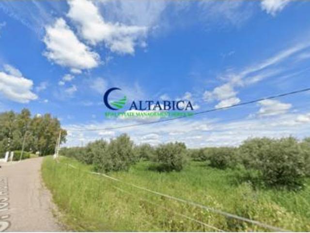 Chalet Venta La Carlota, Monte Alto