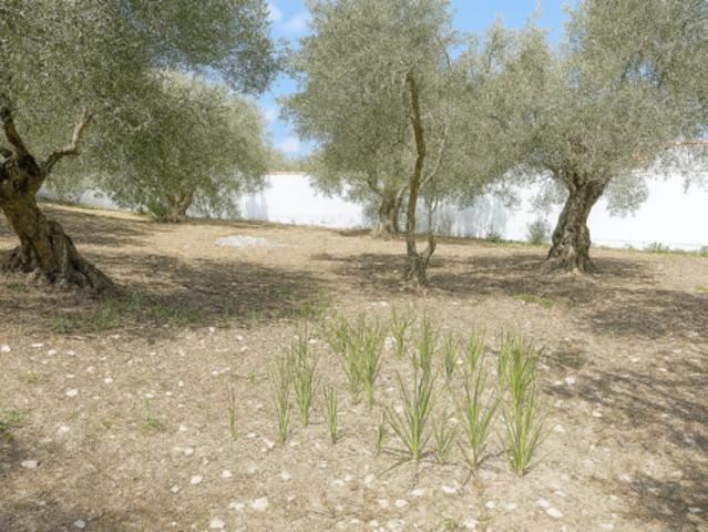 Chalet Venta Montejaque, Montejaque