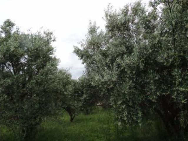Chalet Venta Moratalla, Moratalla