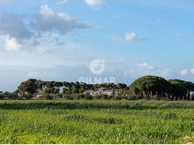 Chalet Venta Marchena, Marchena