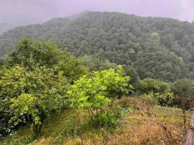 Chalet Venta Mieres, Mieres