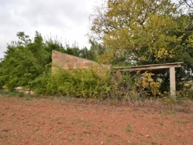 Chalet Venta Muro, Muro