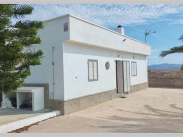 Chalet Venta Níjar, Albaricoques