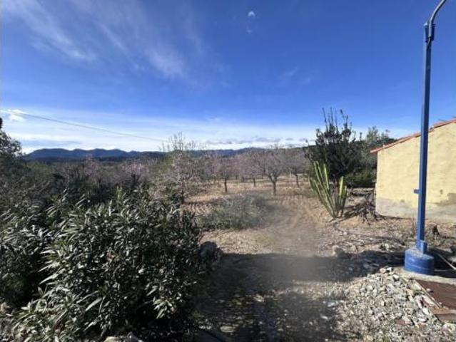 Chalet Venta Sagunt Sagunto, Alt Palància Doctor Palos