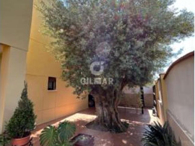 Chalet Venta Sanlúcar de Barrameda, Bonanza Martín Miguel Monteolivete