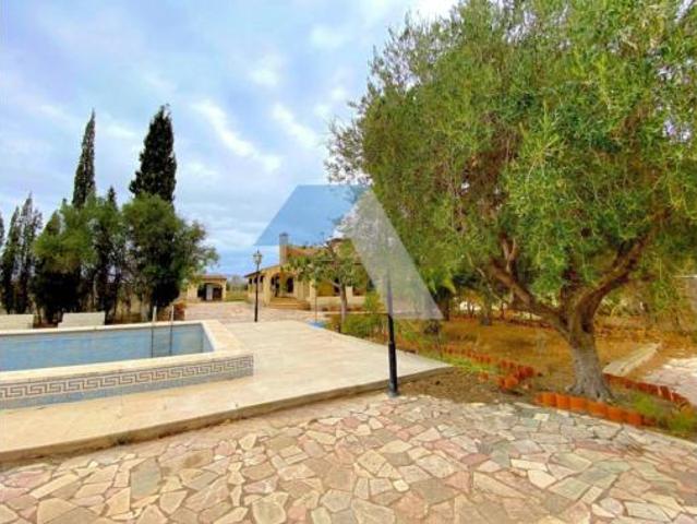 Chalet Venta Sant Vicent del Raspeig San Vicente del Raspeig, Los Girasoles