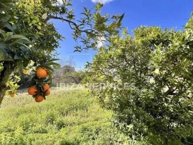 Chalet Venta Sant Antoni de Portmany, Sant Antoni de Portmany