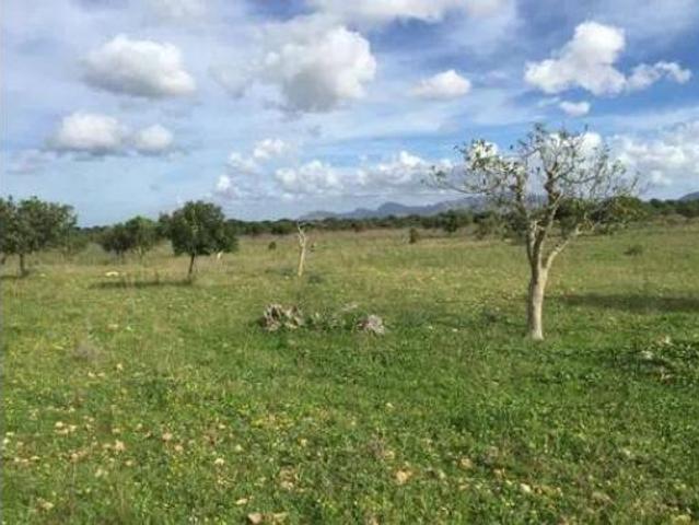 Chalet Venta Santa Margalida, Santa Margalida