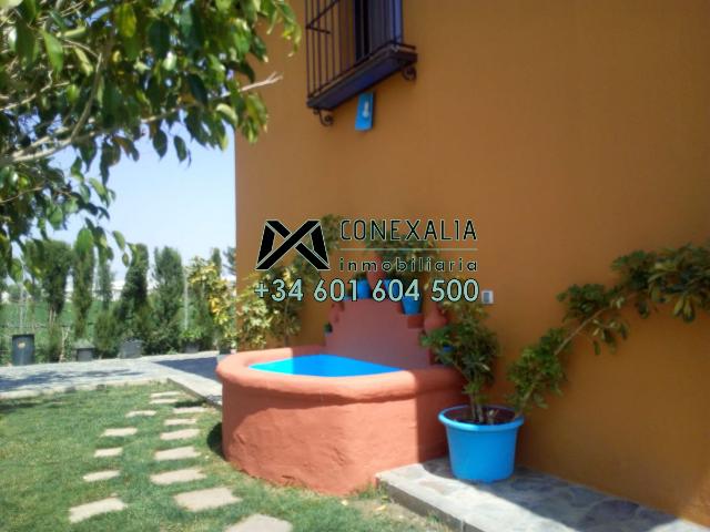 Chalet Venta Sevilla