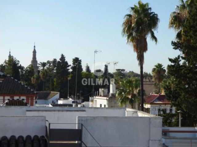 Chalet Venta Sevilla Capital, Alfalfa
