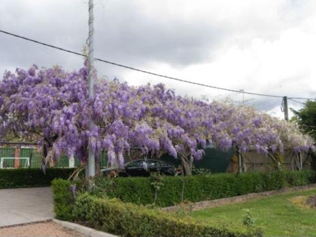 Chalet Venta Ponferrada, Compostilla Columbrianos