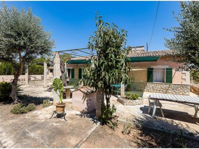 Chalet Venta Palma de Mallorca, Establiments