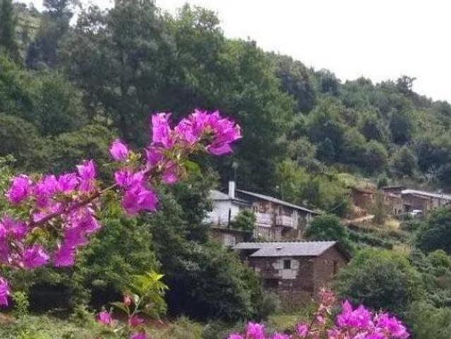 Chalet Venta Pantón, Acedre