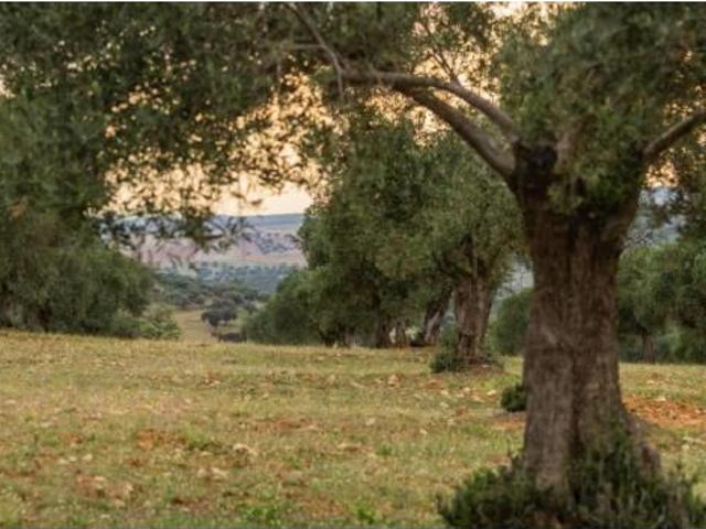 Chalet Venta Peñarroya Pueblonuevo, Peñarroya Pueblonuevo
