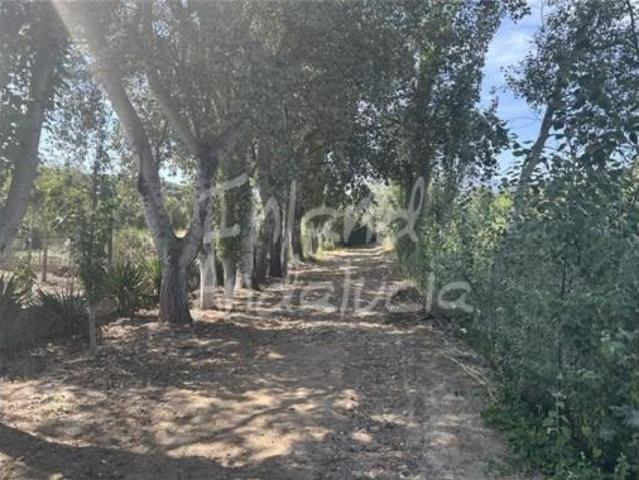 Chalet Venta Priego de Córdoba, Priego de Córdoba