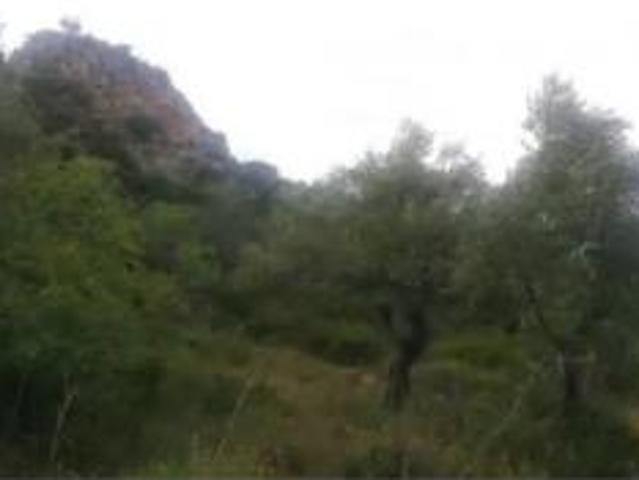 Chalet Venta Benaoján, Benaoján