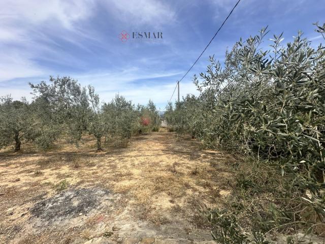 Chalet Venta Valencia