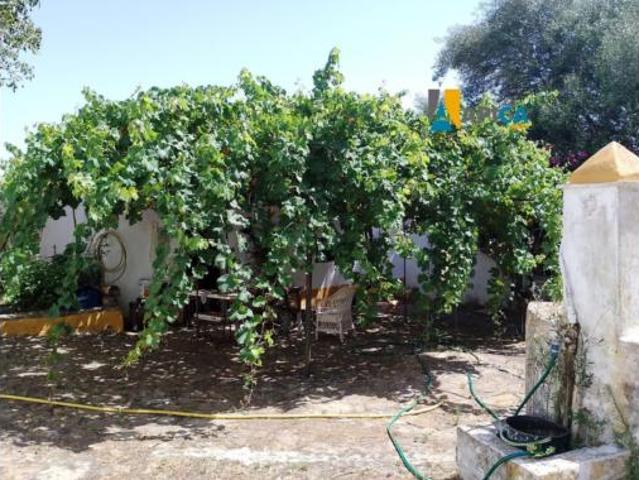 Chalet Venta Vejer de la Frontera, Vejer de la Frontera