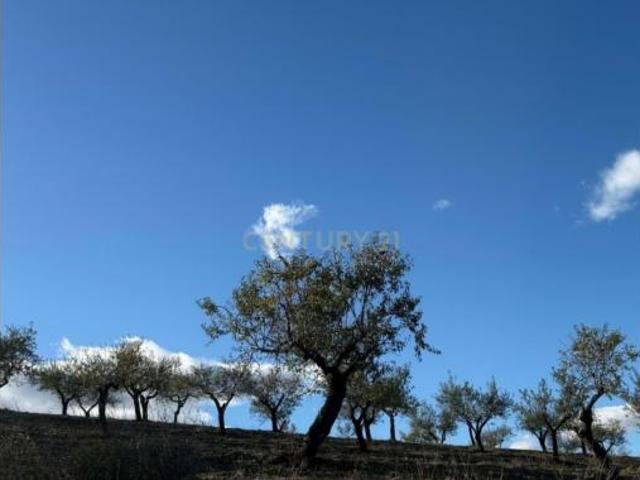 Chalet Venta Vélez Rubio, Bancalejo