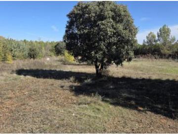 Casalonga, Cuenca, Castilla-La Mancha, Castilla-La Mancha