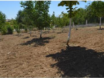 Casalonga, Cuenca, Castilla-La Mancha, Castilla-La Mancha