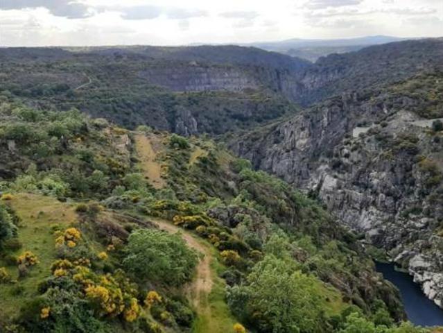 Chalet Venta Villar del Buey, Villar del Buey