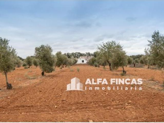 Chalet Venta Villarrobledo, Villarrobledo