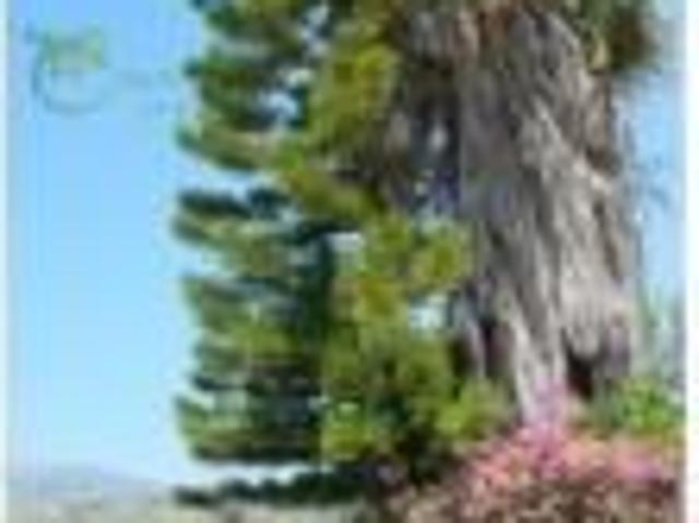 Chalet Venta Vinuesa, El Quintanarejo