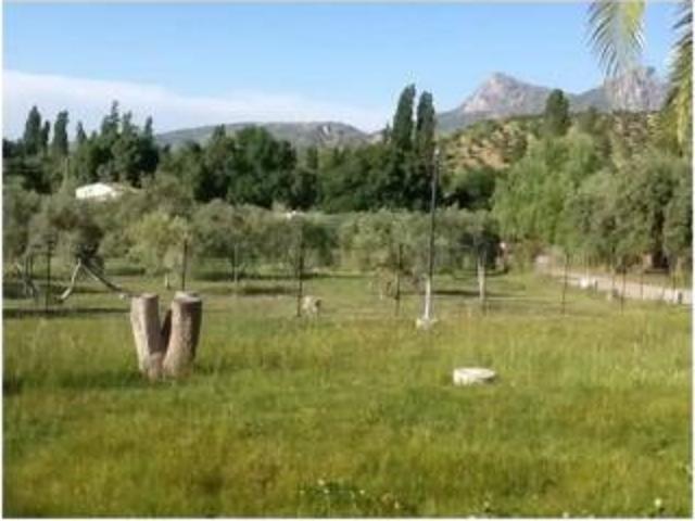 Chalet Venta Zahara de la Sierra, Zahara de la Sierra