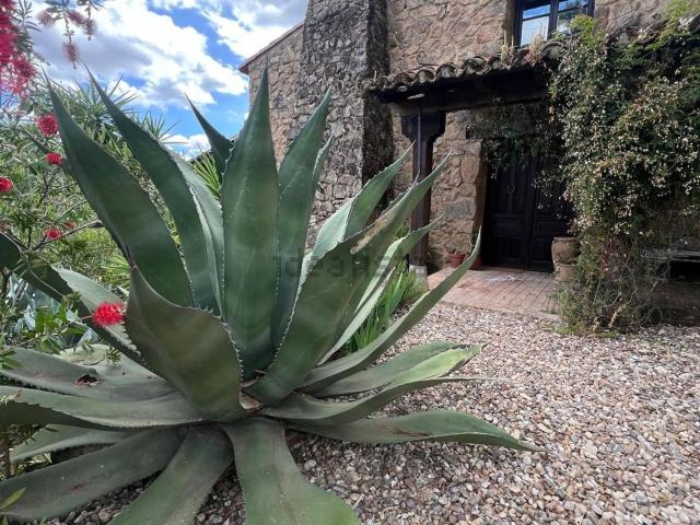 Chalet, Viandar de la Vera