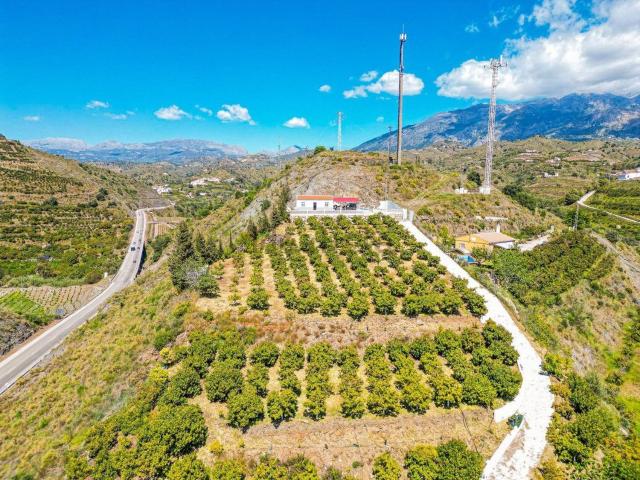 Chalet, Viñuela