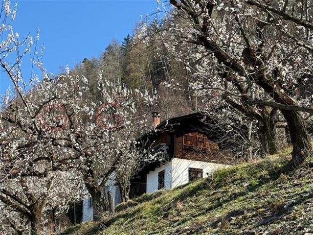 Chalet zum Verkauf in Saxon zur Renovierung