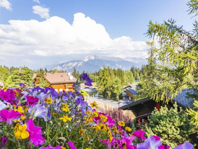 Chaleureux attique avec vue panoramique