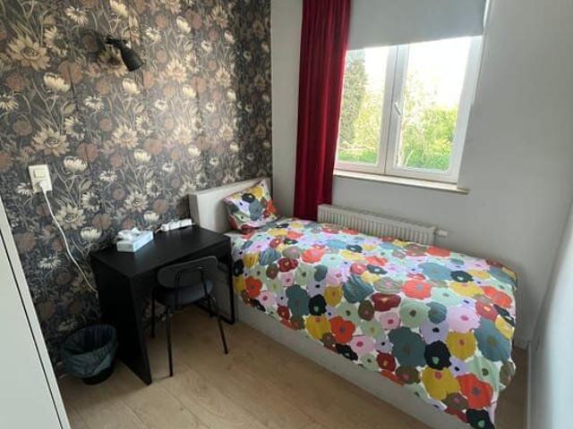 Chambre à louer