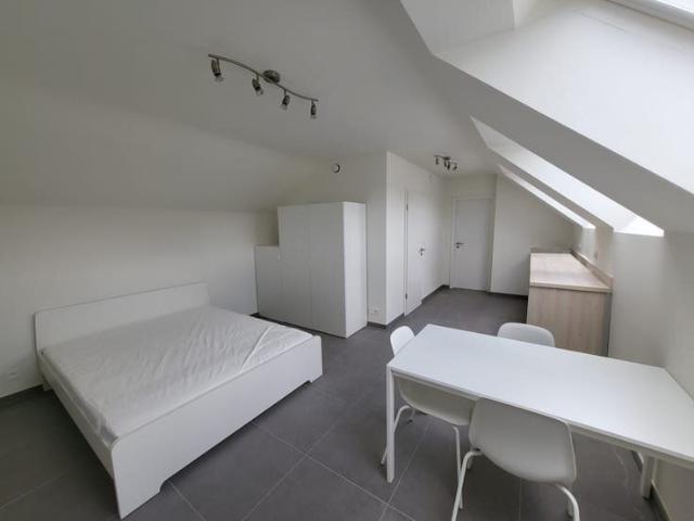 Chambre dans colocation 4 chambres àpd 450€+120€/chambre